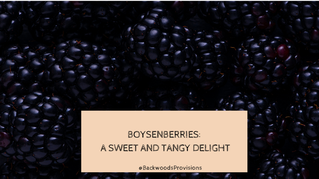 Boysenberries: A Sweet and Tangy Delight