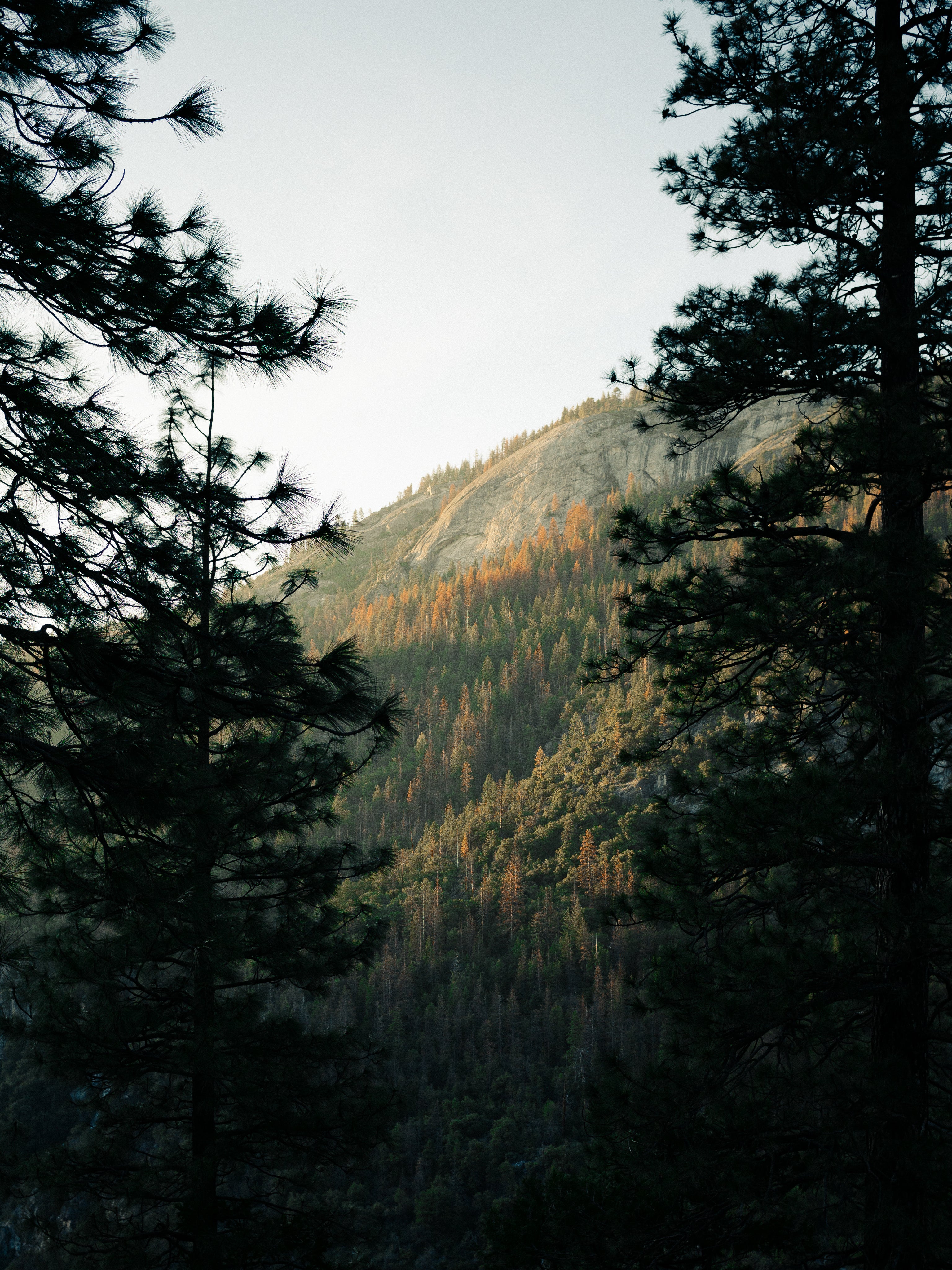 All Products – Backwoods Provisions