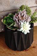 Black Geometric Abstract Planter With Drain and Holder