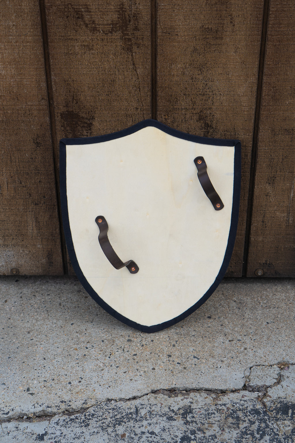 Handmade 18" DIY Heater Shield For Costume, Play, or Wall Art
