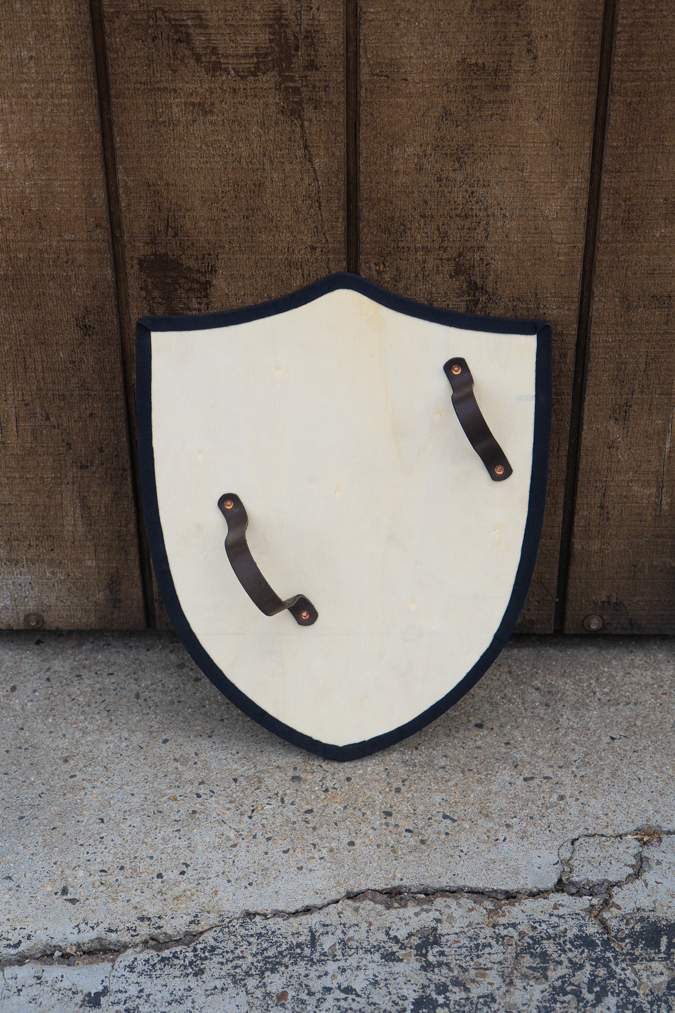 Handmade 18" DIY Heater Shield For Costume, Play, or Wall Art