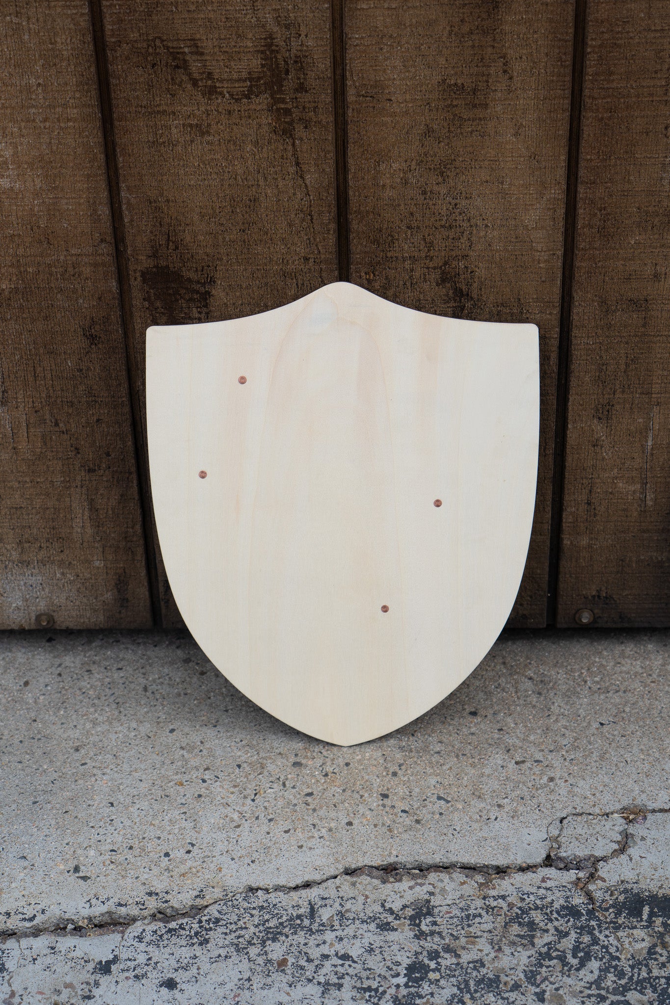 Handmade 18" DIY Heater Shield For Costume, Play, or Wall Art