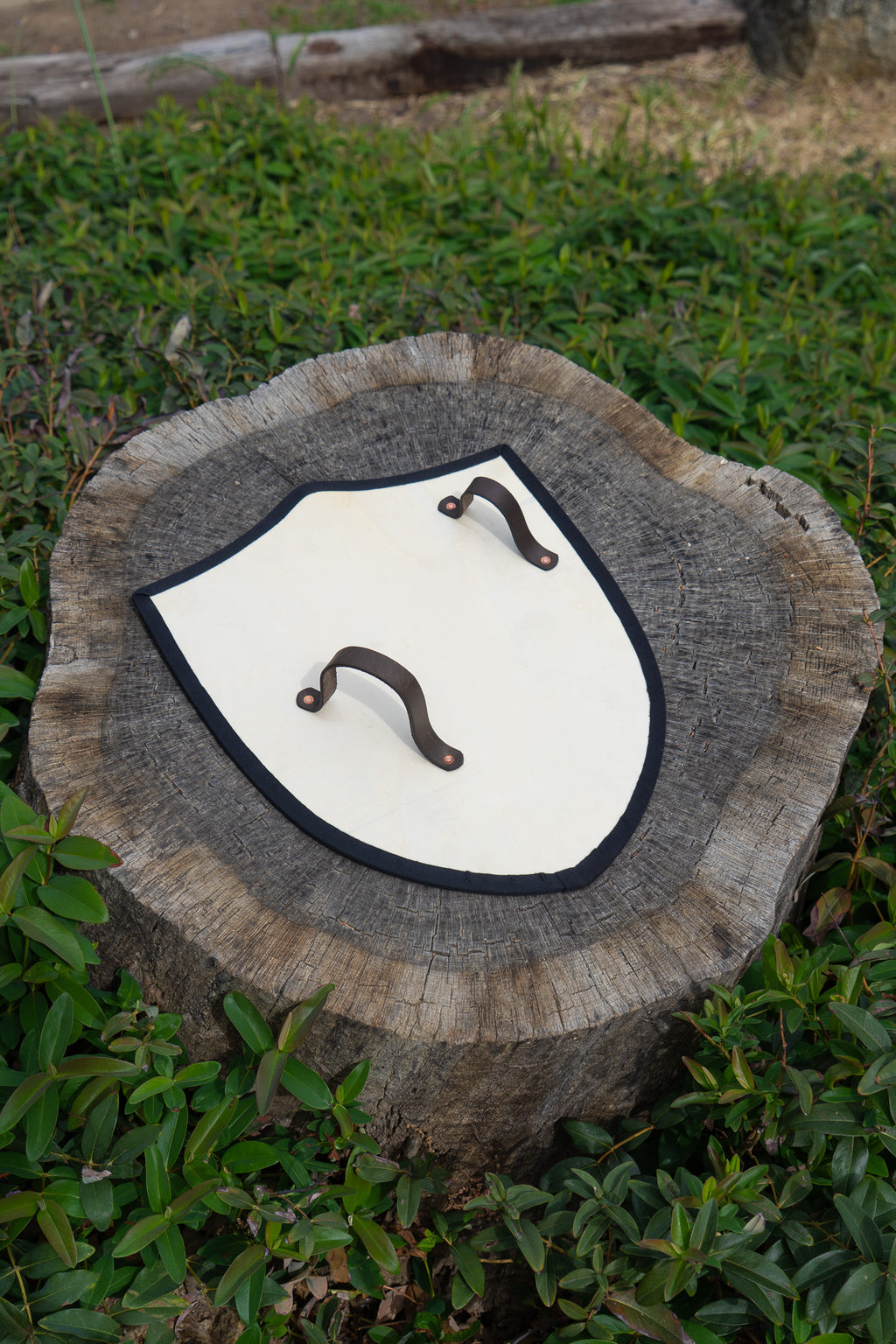 Handmade 18" DIY Heater Shield For Costume, Play, or Wall Art