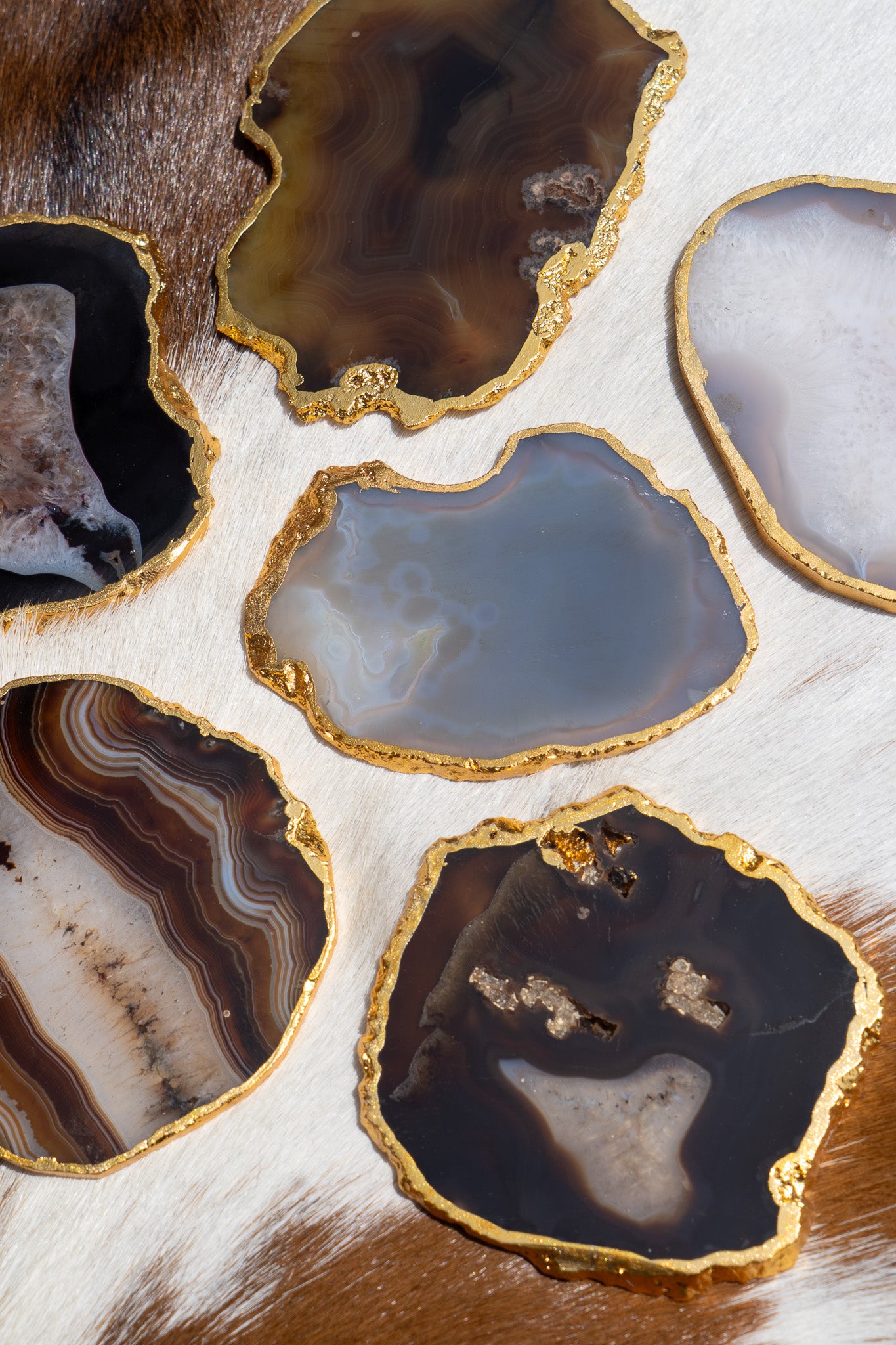 Sleek Assorted Agate Gold Rimmed Coasters - Set of 2
