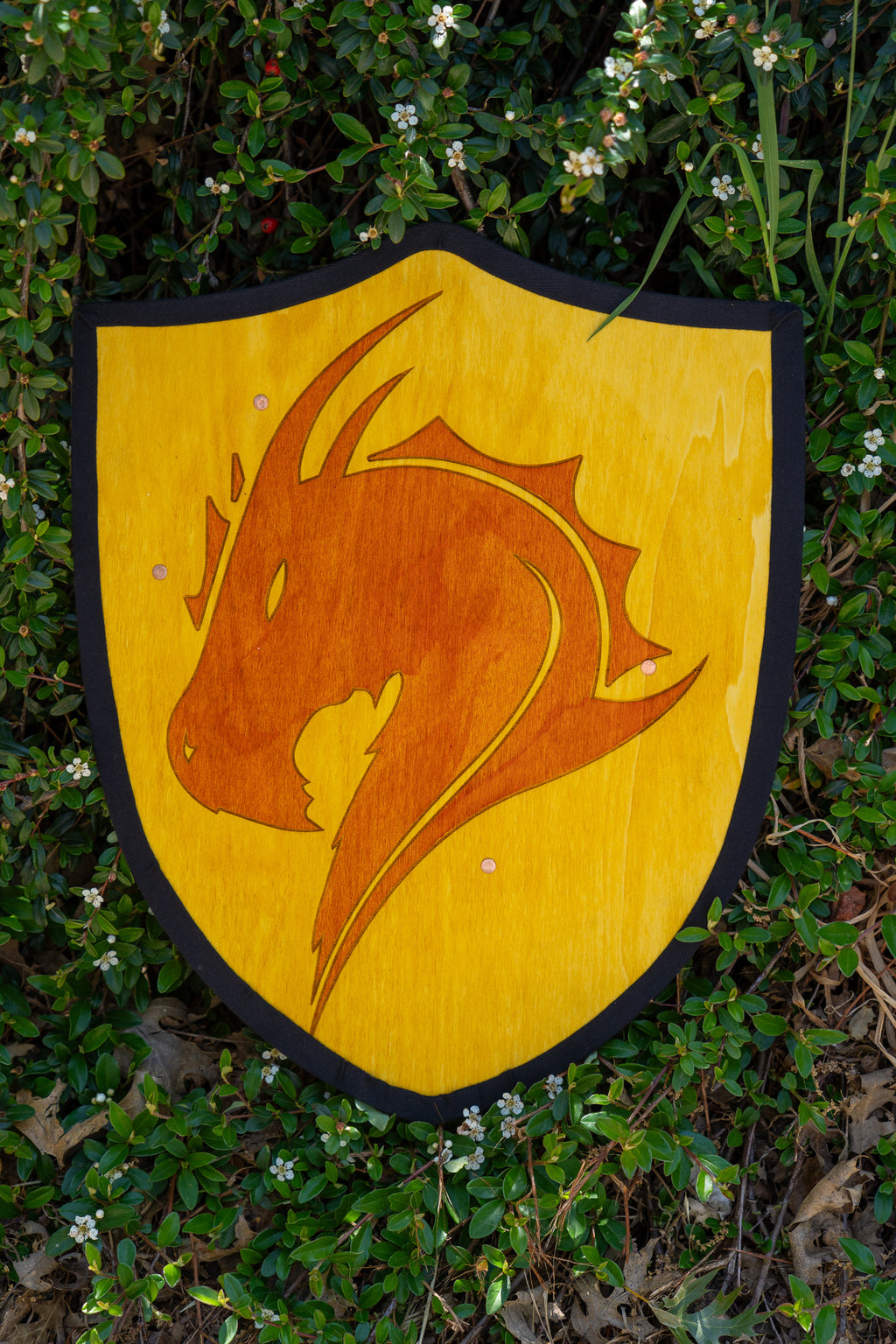 Handmade 18" Dragon Heater Shield For Costume, Play or Wall Art