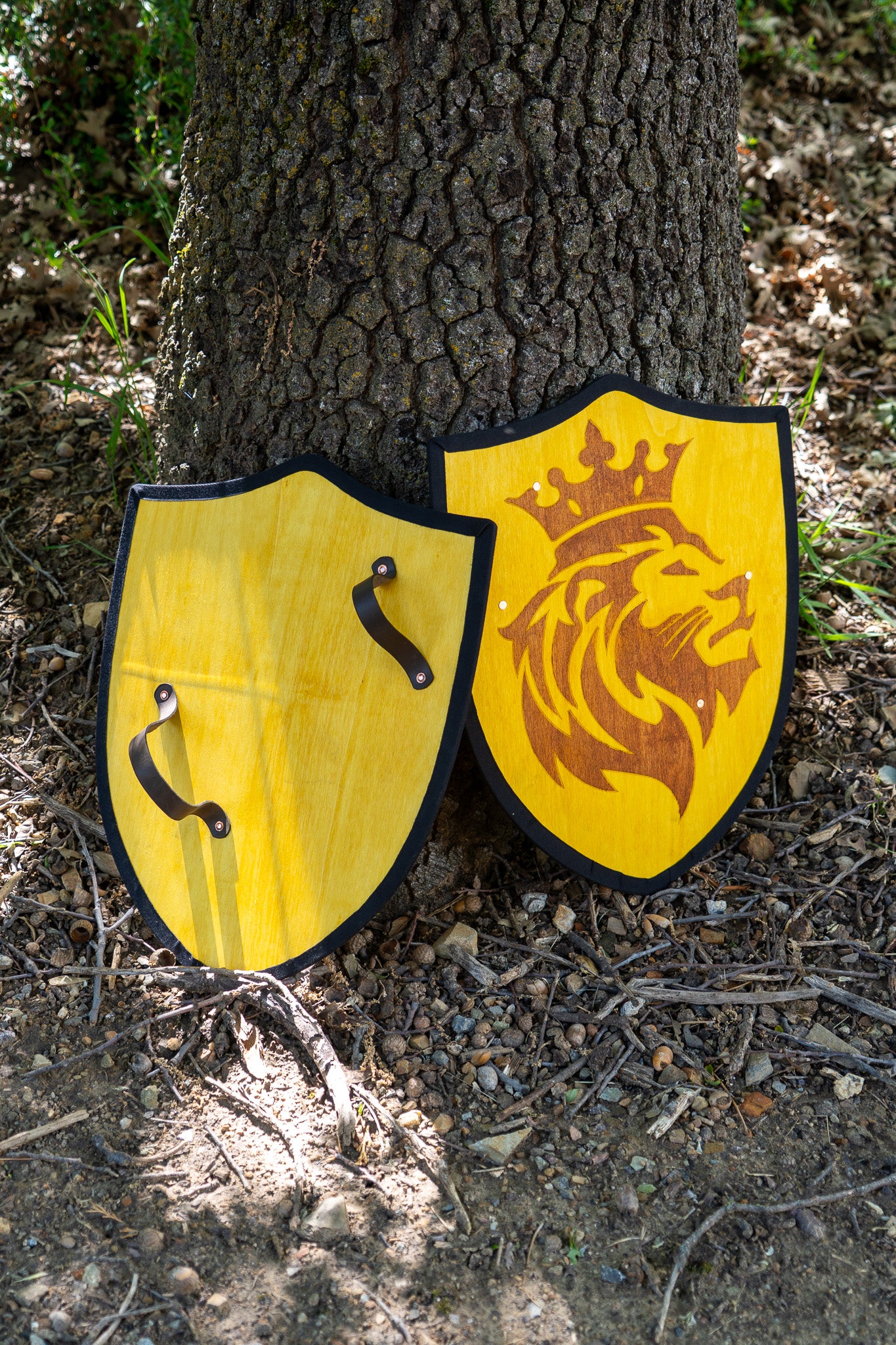 Handmade 18" Lion Heater Shield For Costume, Play or Wall Art