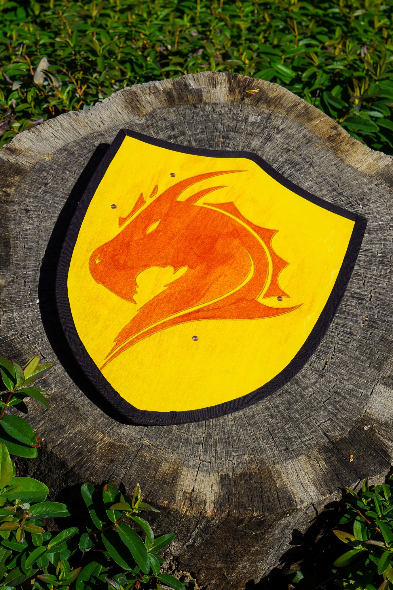 Handmade 18" Dragon Heater Shield For Costume, Play or Wall Art