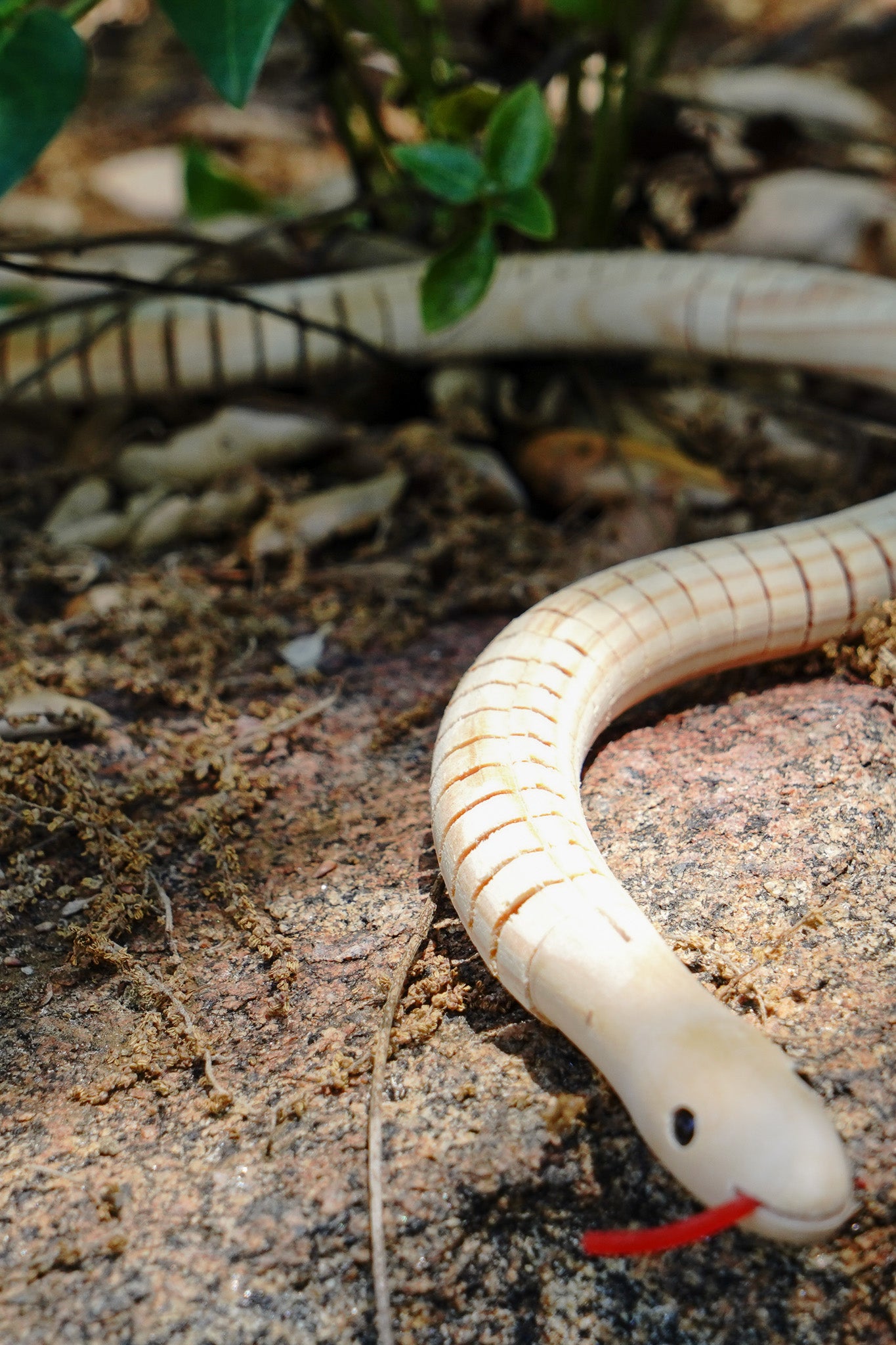 Wooden Snake