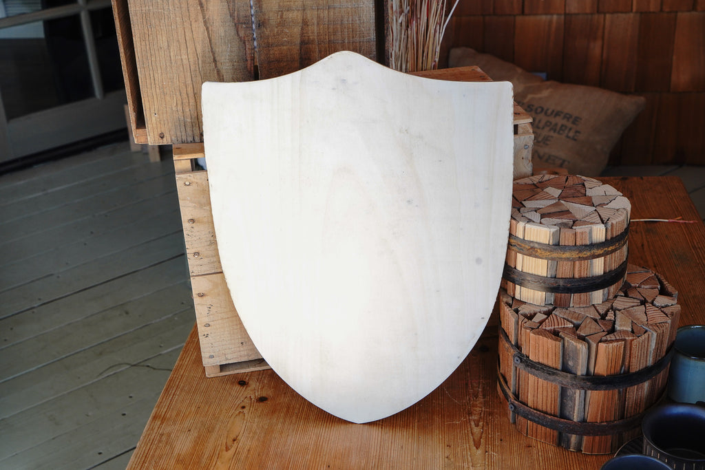 Handmade 18" DIY Heater Shield For Costume, Play, or Wall Art