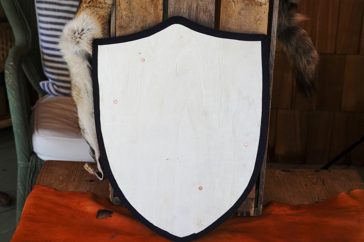 Handmade 18" DIY Heater Shield For Costume, Play, or Wall Art
