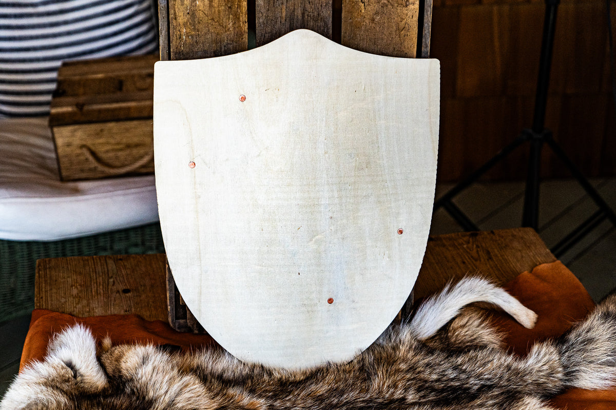 Handmade 18" DIY Heater Shield For Costume, Play, or Wall Art