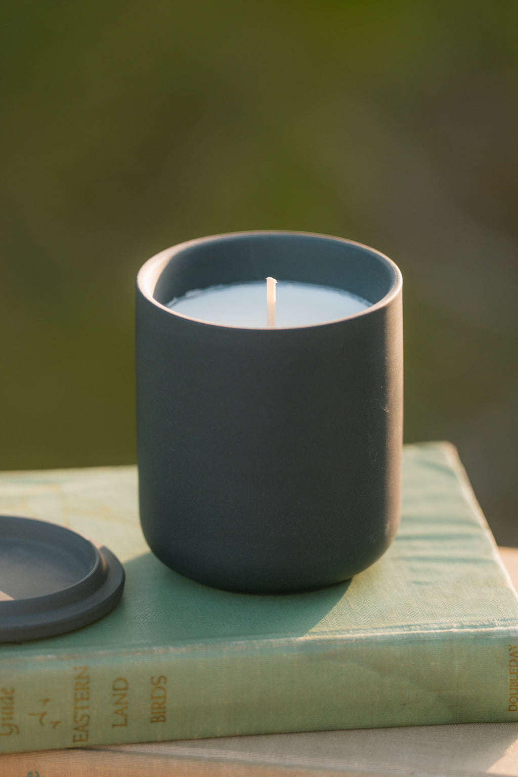Morning Dew Soy Candle