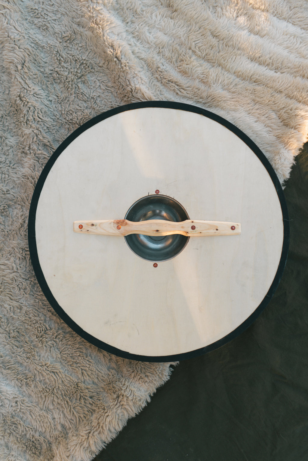 Round Medieval Norse Shield with Steel Boss