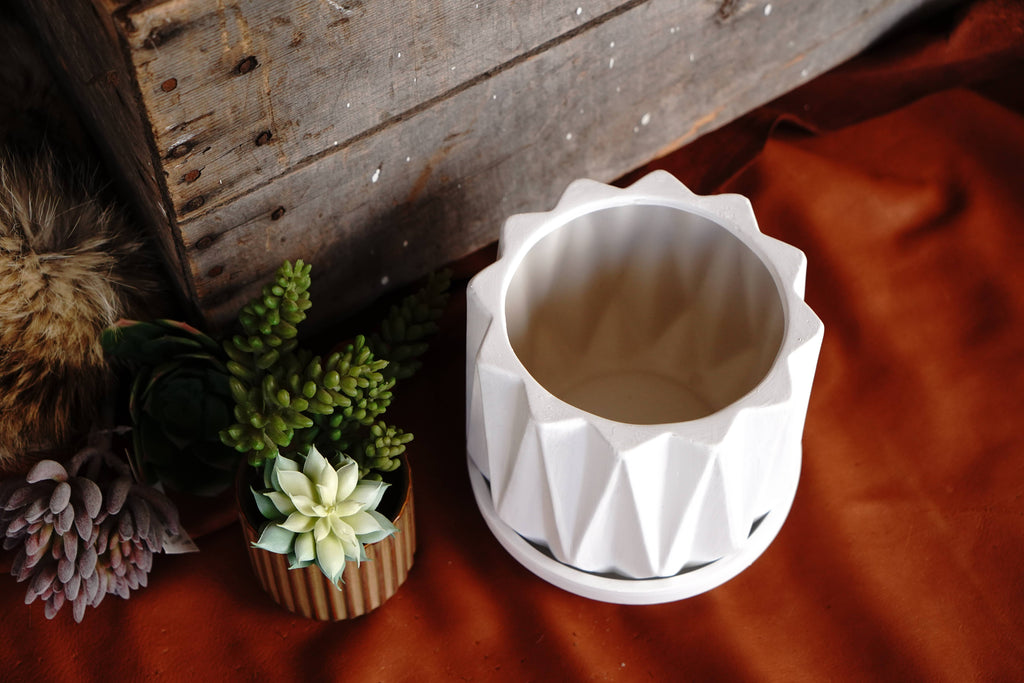 White Geometric Abstract Planter With Drain and Holder