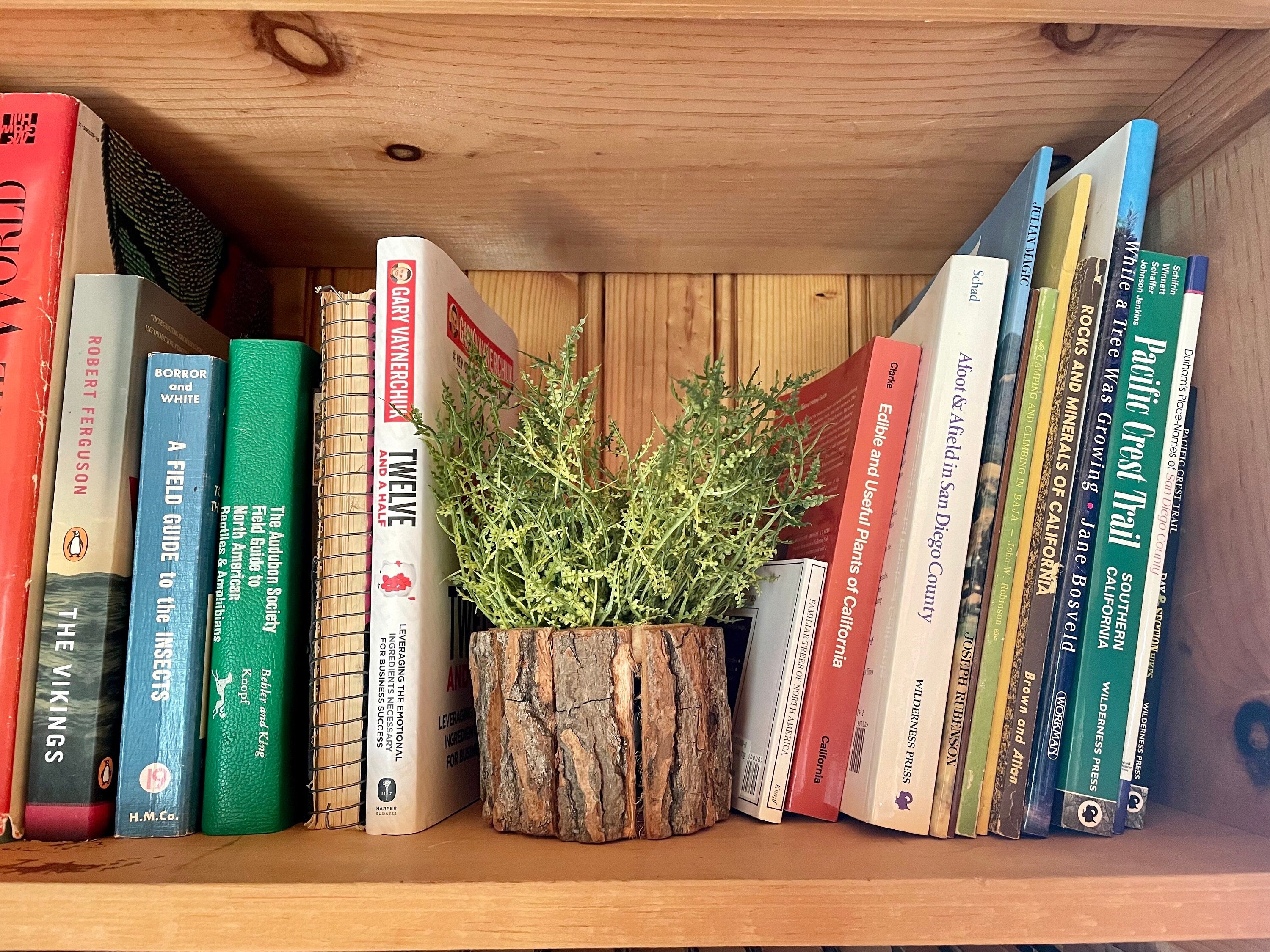 Wood Bark Planter Decor | Decorative Divider