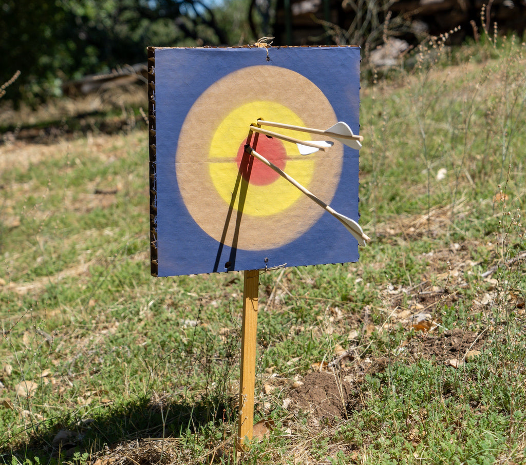 30" Toy Crossbow with Bolts & Belt Quiver