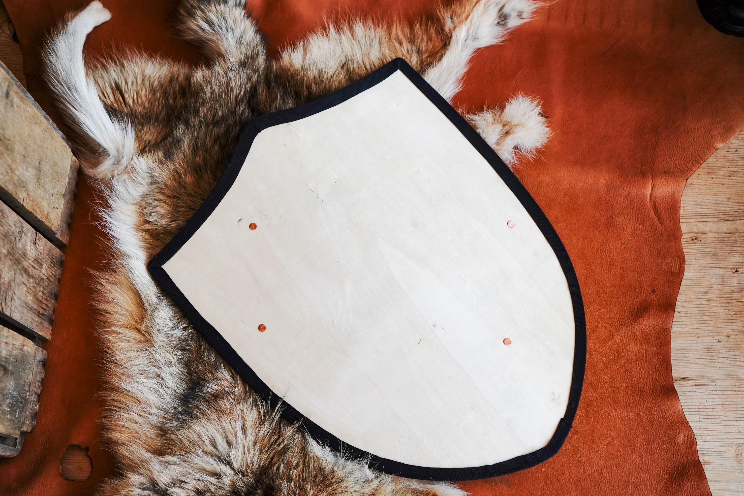 Handmade 18" DIY Heater Shield For Costume, Play,or Wall Art