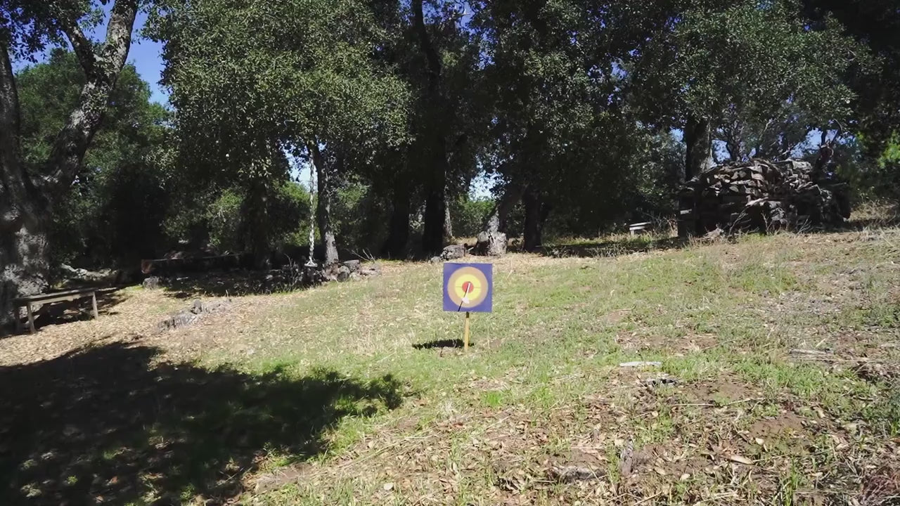 30" Toy Crossbow with Bolts & Belt Quiver