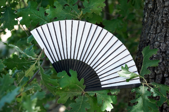 Red, White, and Blue Accordion Paper Fan